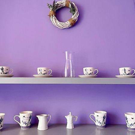 Apartament Lawendowy Walbrzych Ngoại thất bức ảnh